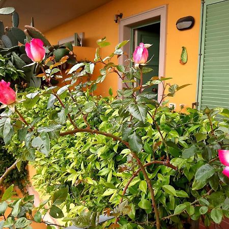 Casa Marta Bed and Breakfast Μάσσα Εξωτερικό φωτογραφία