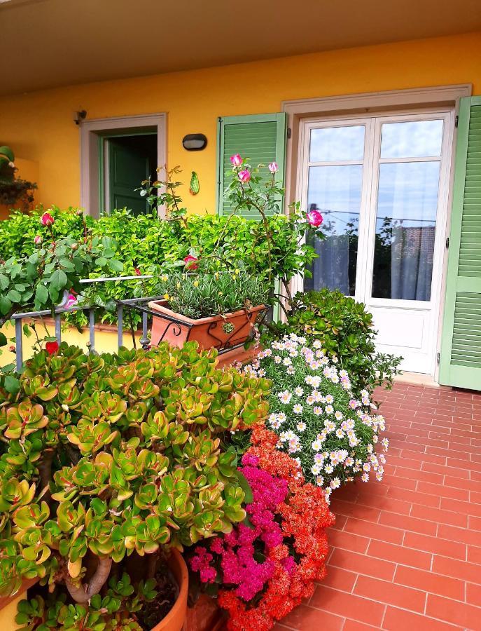 Casa Marta Bed and Breakfast Μάσσα Εξωτερικό φωτογραφία