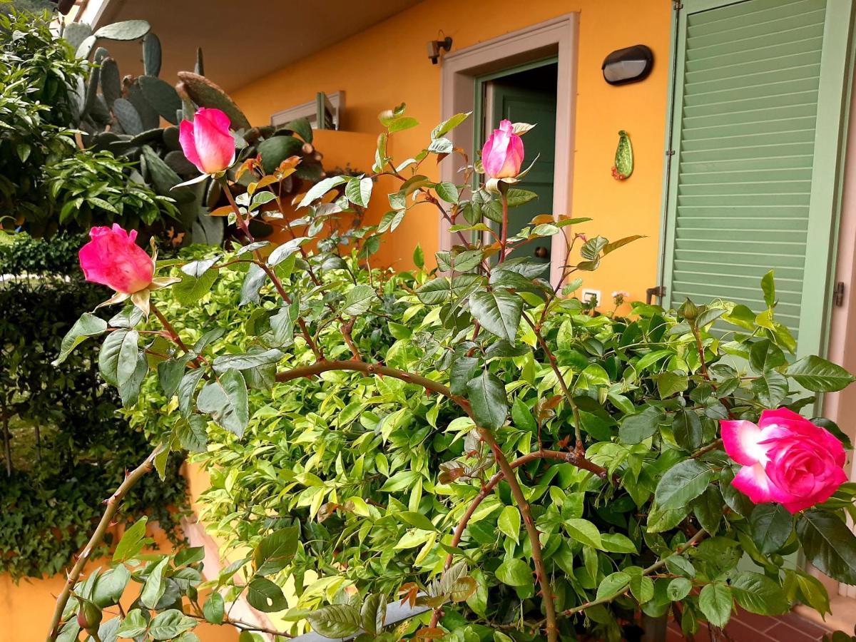 Casa Marta Bed and Breakfast Μάσσα Εξωτερικό φωτογραφία