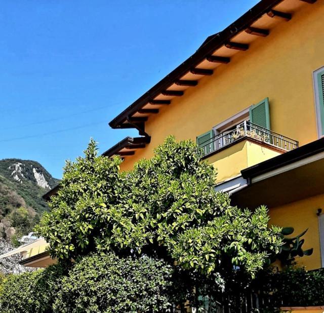 Casa Marta Bed and Breakfast Μάσσα Εξωτερικό φωτογραφία